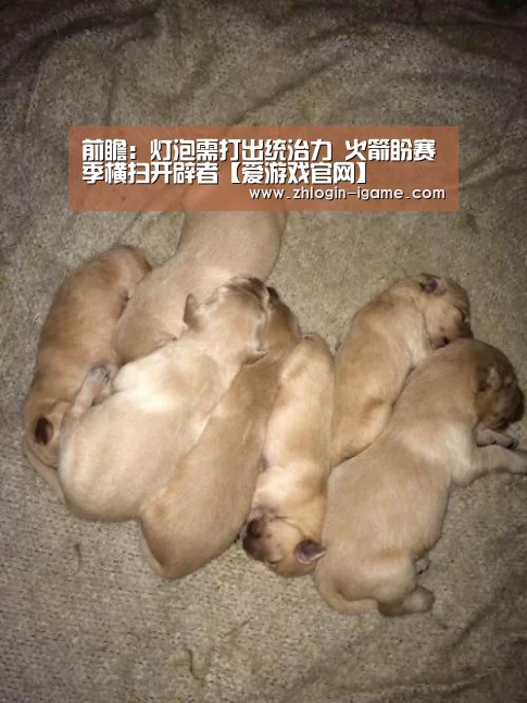 前瞻:灯泡需打出统治力 火箭盼赛季横扫开辟者【爱游戏官网】(图2) 爱游戏体育